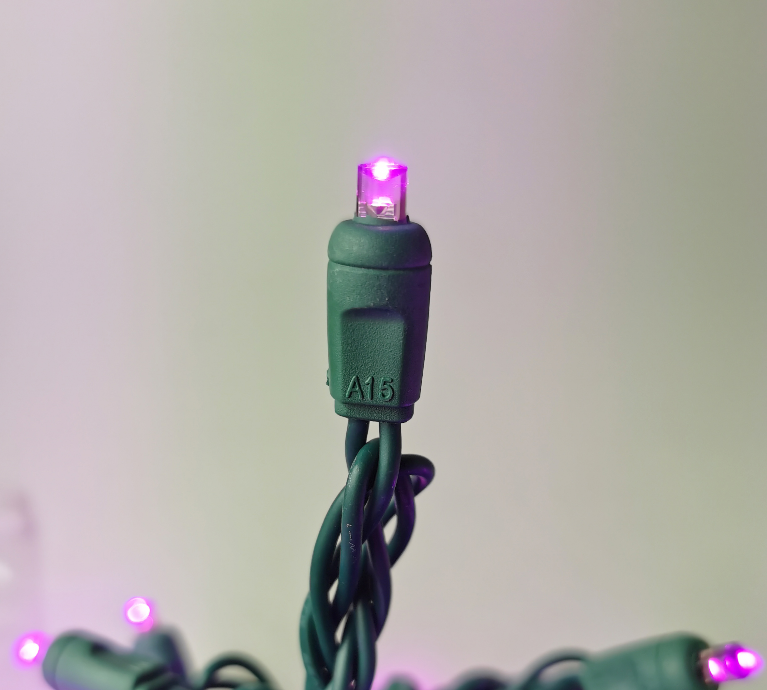 Christmas Lights 50 Mini LED String Lights Purple LED, 120V UL, Green Wire 