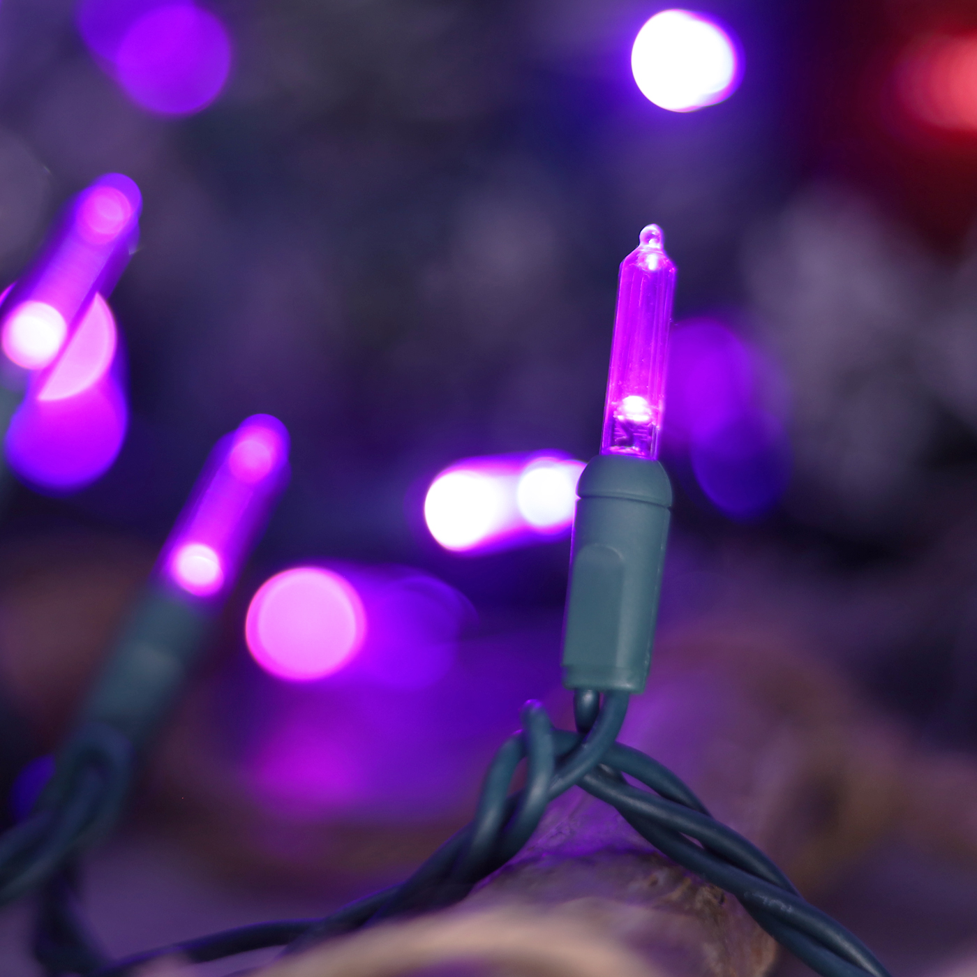 Christmas Lights LED String Lights Purple LED, T5, 120V UL, Green Wire 