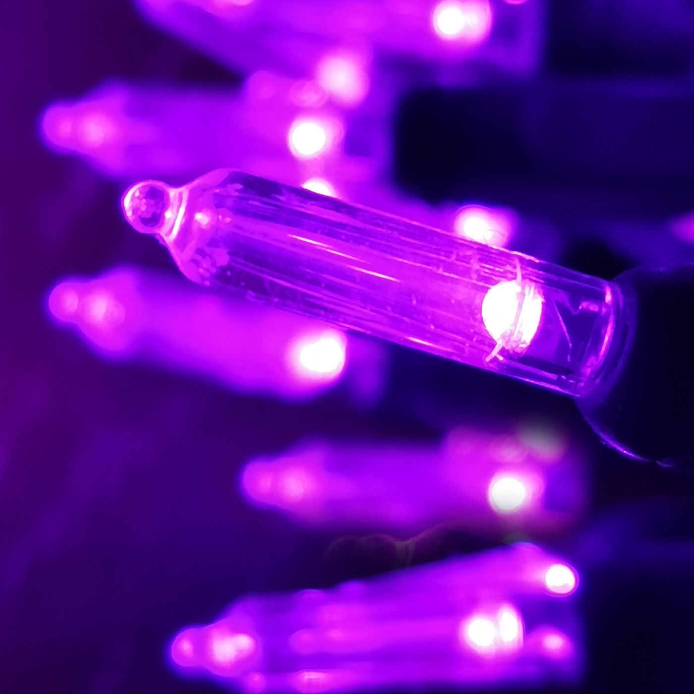 Christmas Lights LED String Lights Purple LED, T5, 120V UL, Green Wire 