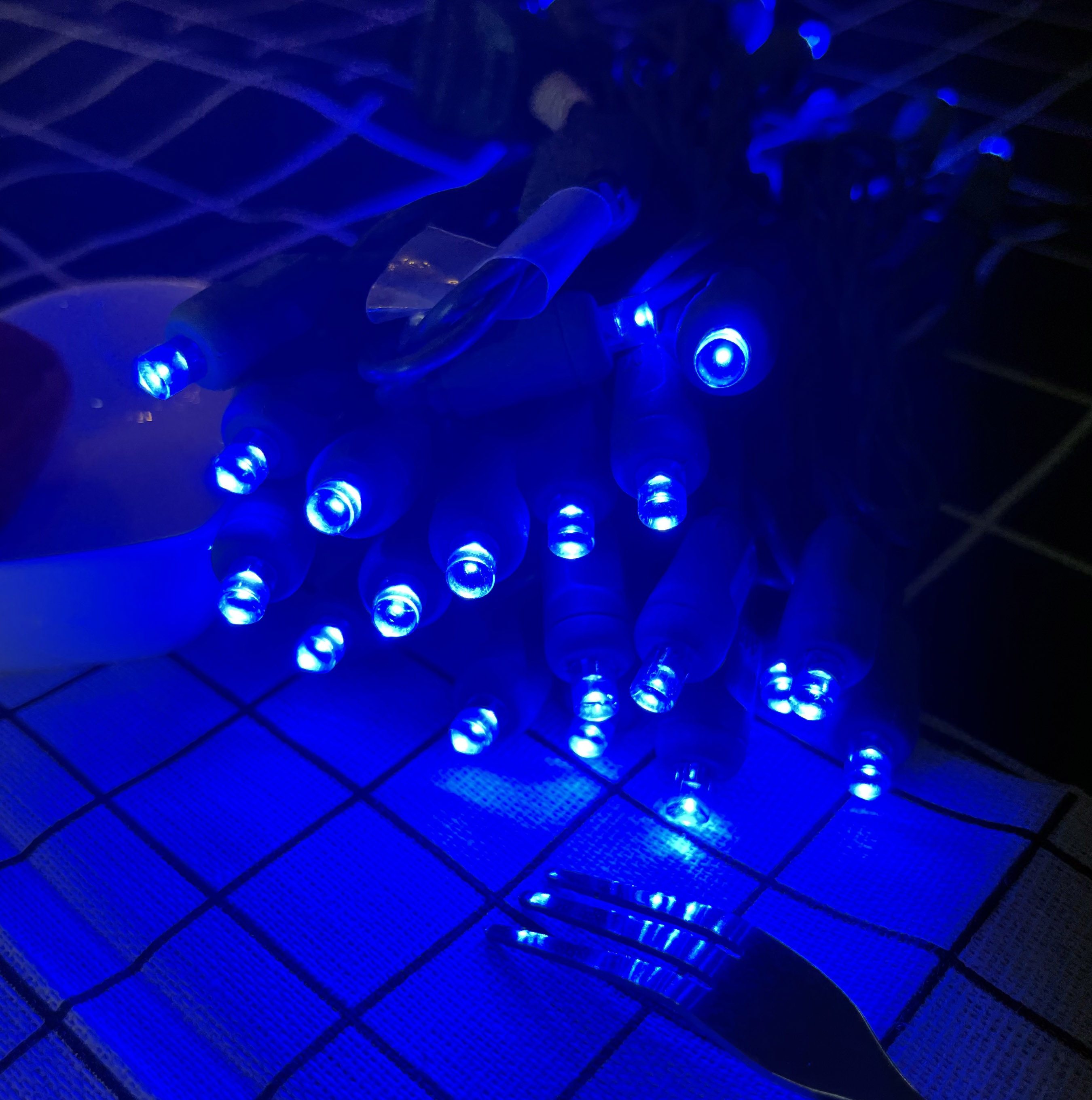 Christmas Lights 50 Blue Mini LED String Lights, 120V UL, White Wire 