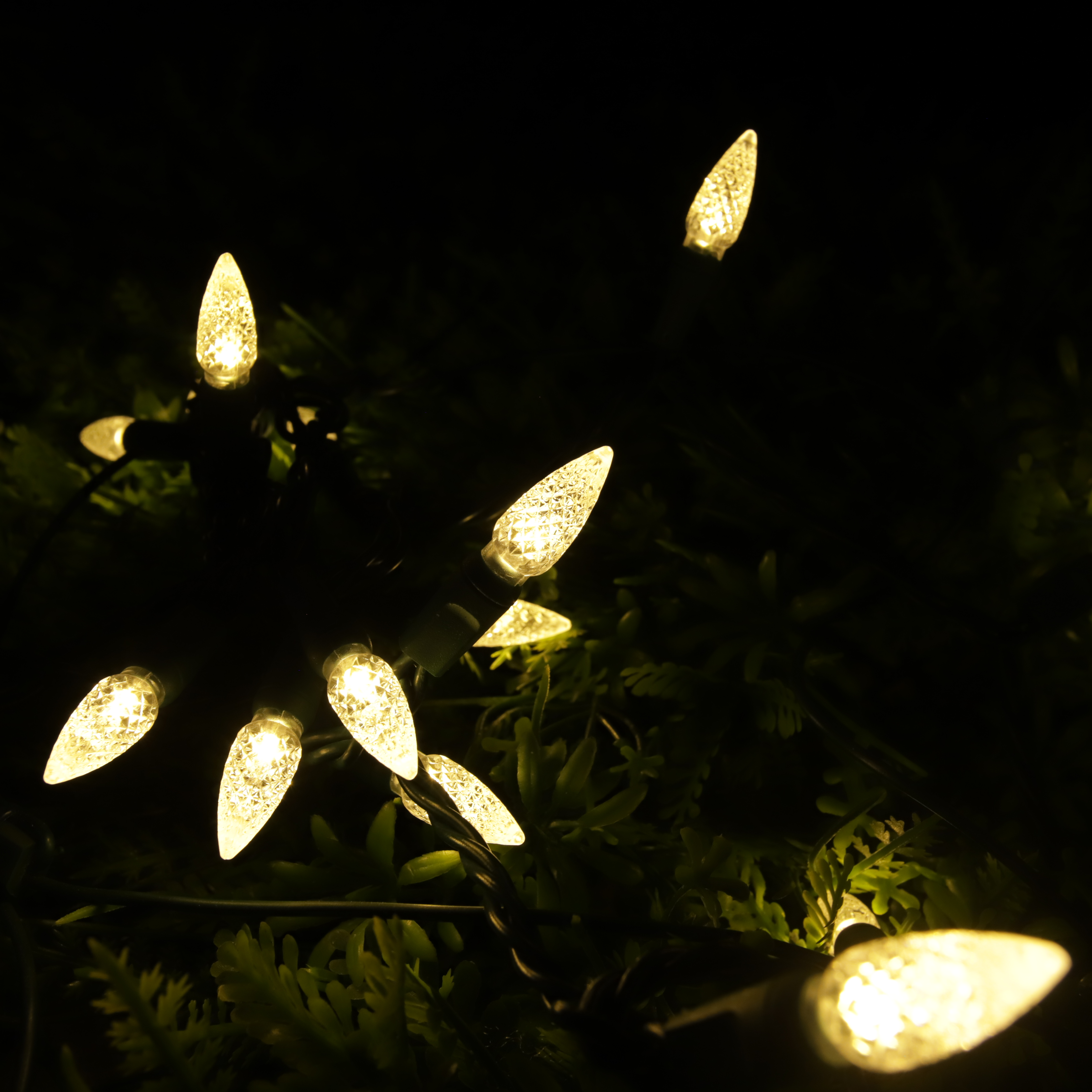 Christmas Lights LED String Lights Warm White LED, C6, 120V UL, Green Wire 