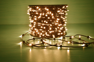 Black Wire Warm White LED Cuttable String Light 12V, Replaceable Christmas Lights
