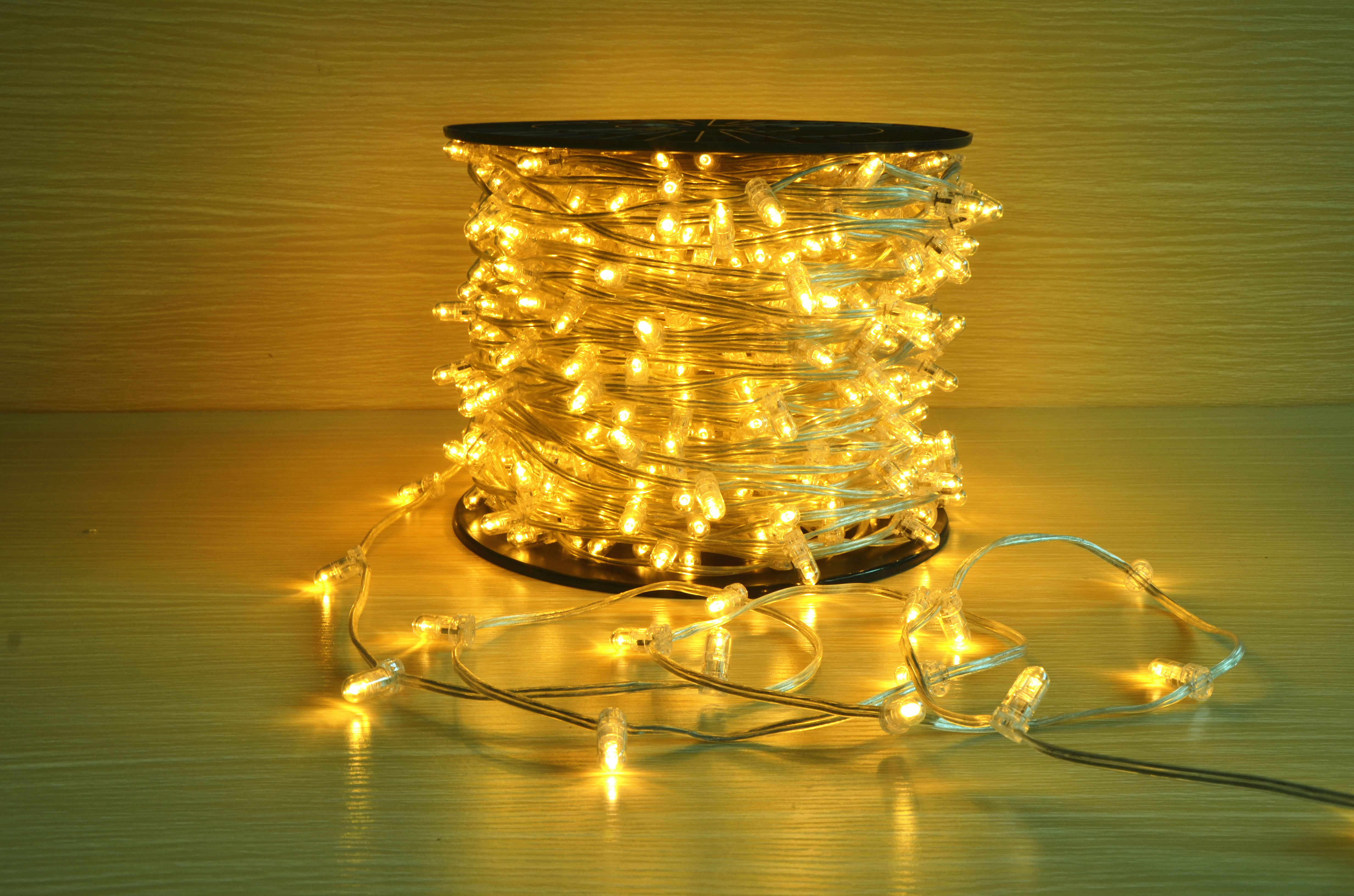 Black Wire Warm White LED Cuttable String Light 12V, Replaceable Christmas Lights