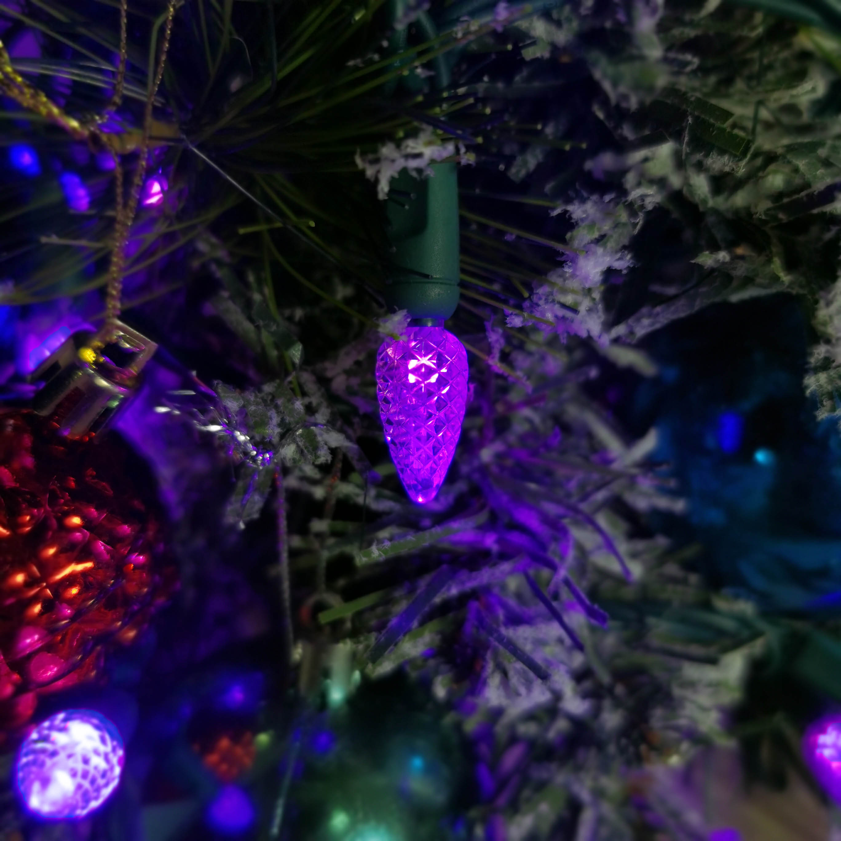 Christmas Lights LED String Lights Purple LED, C3, 120V UL, Green Wire 