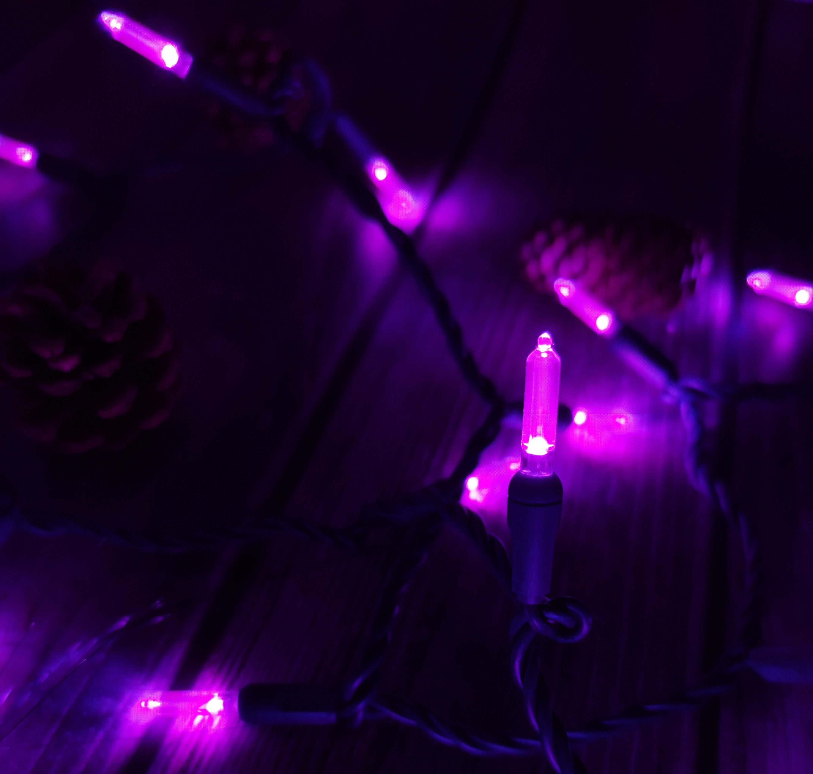 Christmas Lights LED String Lights Purple LED, T5, 120V UL, Green Wire 