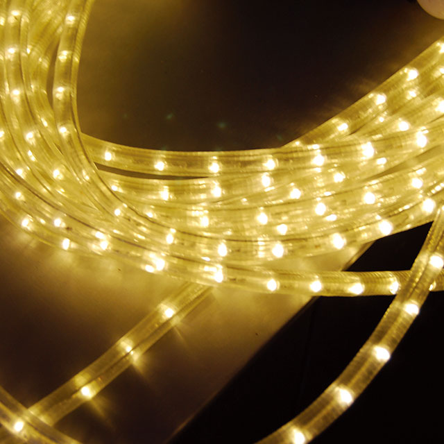 LED Rope Light